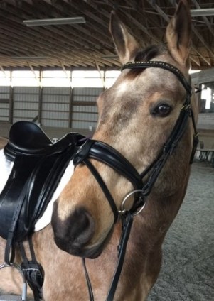 prettybridle