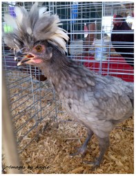 5a8e23c58823b4f4f198bb5b39c06ca7