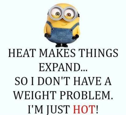 funny-minion-quotes-and-sayings-38