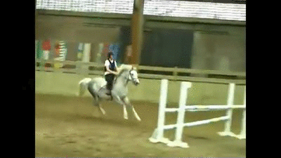 c61fee609029d8903d2ea8bb80301e25