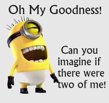 fbbbf39cffee5e79f3e9cd442deb3fd4--minion-humor-funny-minion