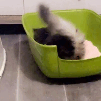 tumblr_op69y42NgA1tiqy0so1_400