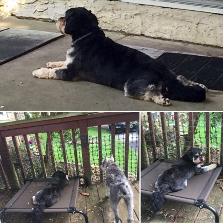 CC545421-64B2-4D7E-B041-82188BDAB91D