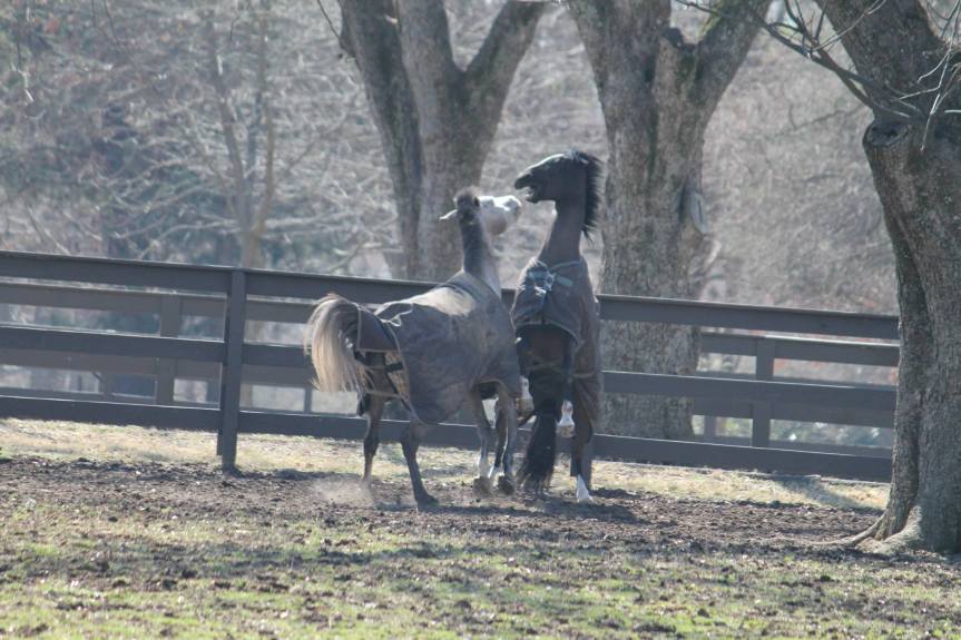 1606464_1552419261649361_768850584_o