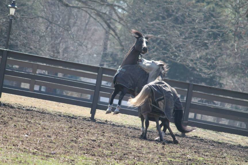 1957767_1552416191649668_997971905_o