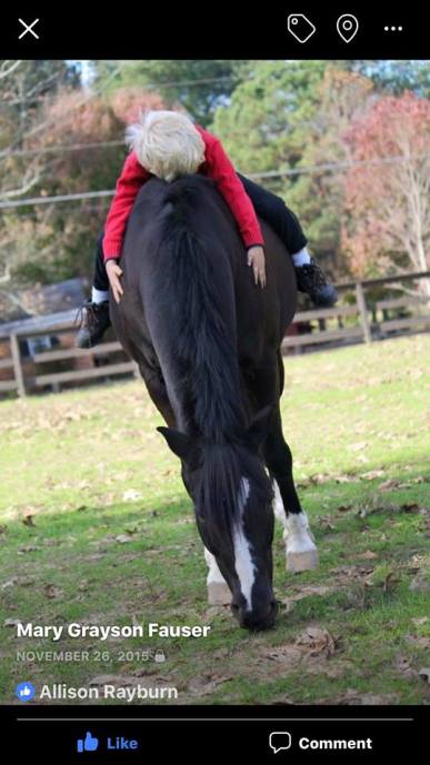 48268893_522339041606180_6433119487599312896_n