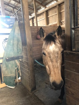 54279544_2321028094808474_1698628929566277632_n