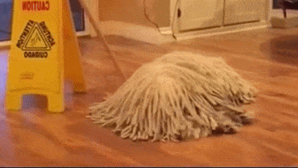 Image result for mop gif