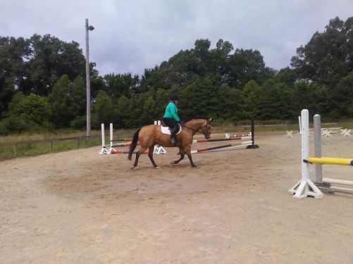 64306930_2250710278383715_3877927633710743552_n