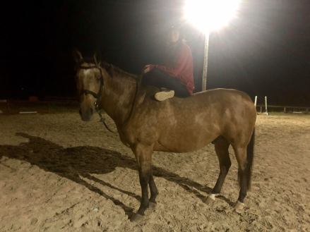 71143183_2439819696295282_4311422690100510720_n