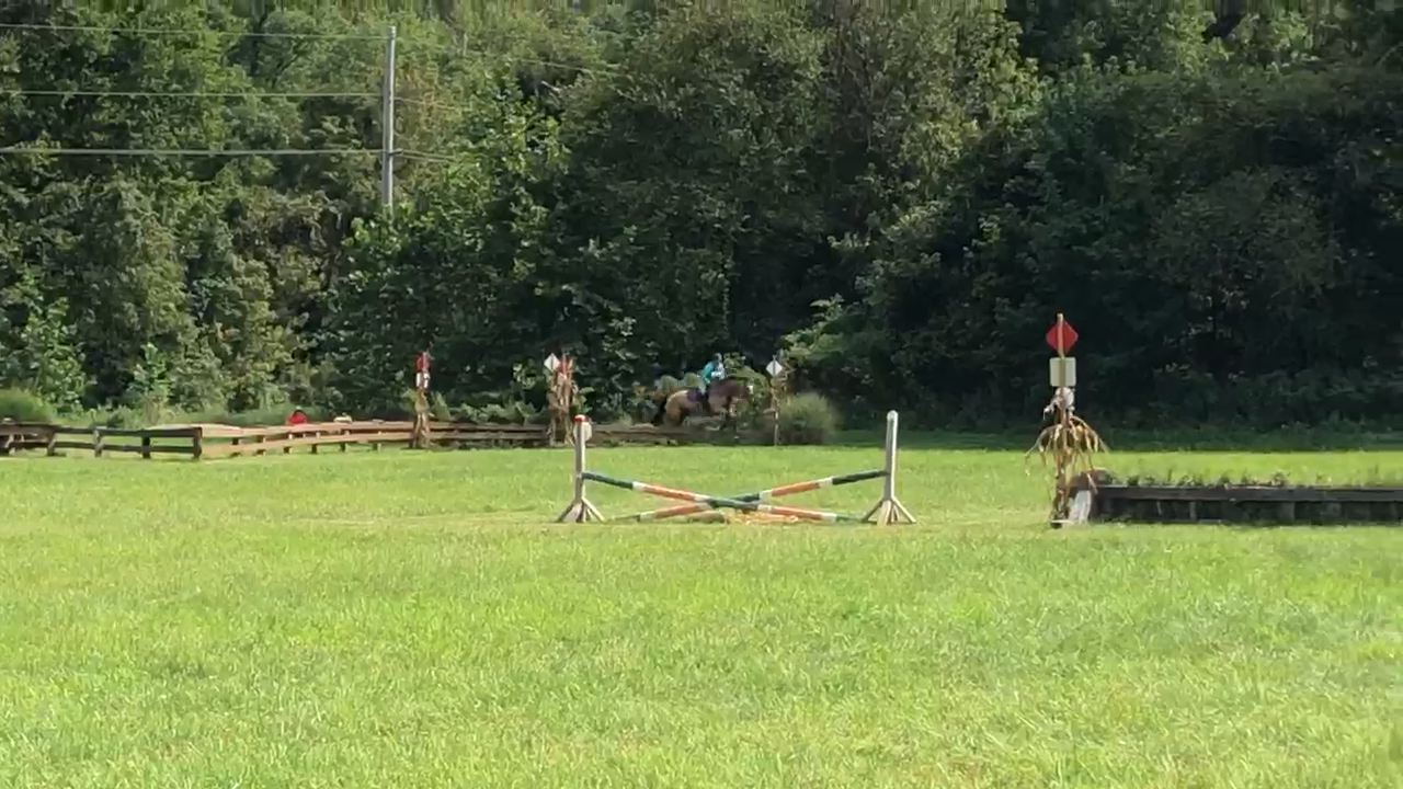 VideoToPhoto 637356928729763369