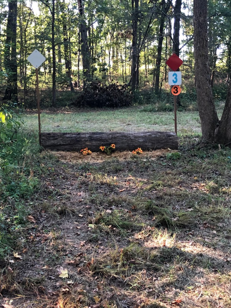 This image has an empty alt attribute; its file name is fence-3.jpg